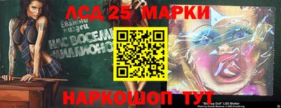 гашик Будённовск
