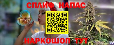 гашик Будённовск