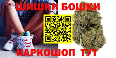 гашик Будённовск