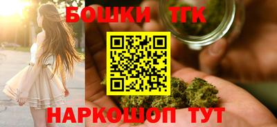 гашик Будённовск
