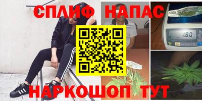 гашик Будённовск