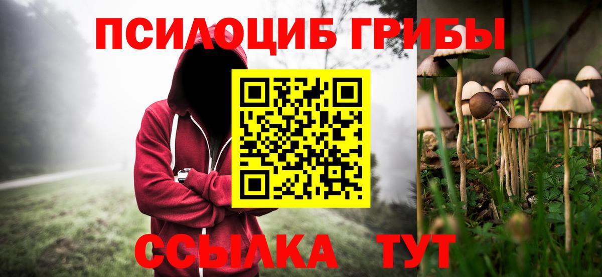 Псилоцибиновые грибы Psilocybe  Галлюциногенные грибы Magic Shrooms  Кохма  Вход с VPN 
